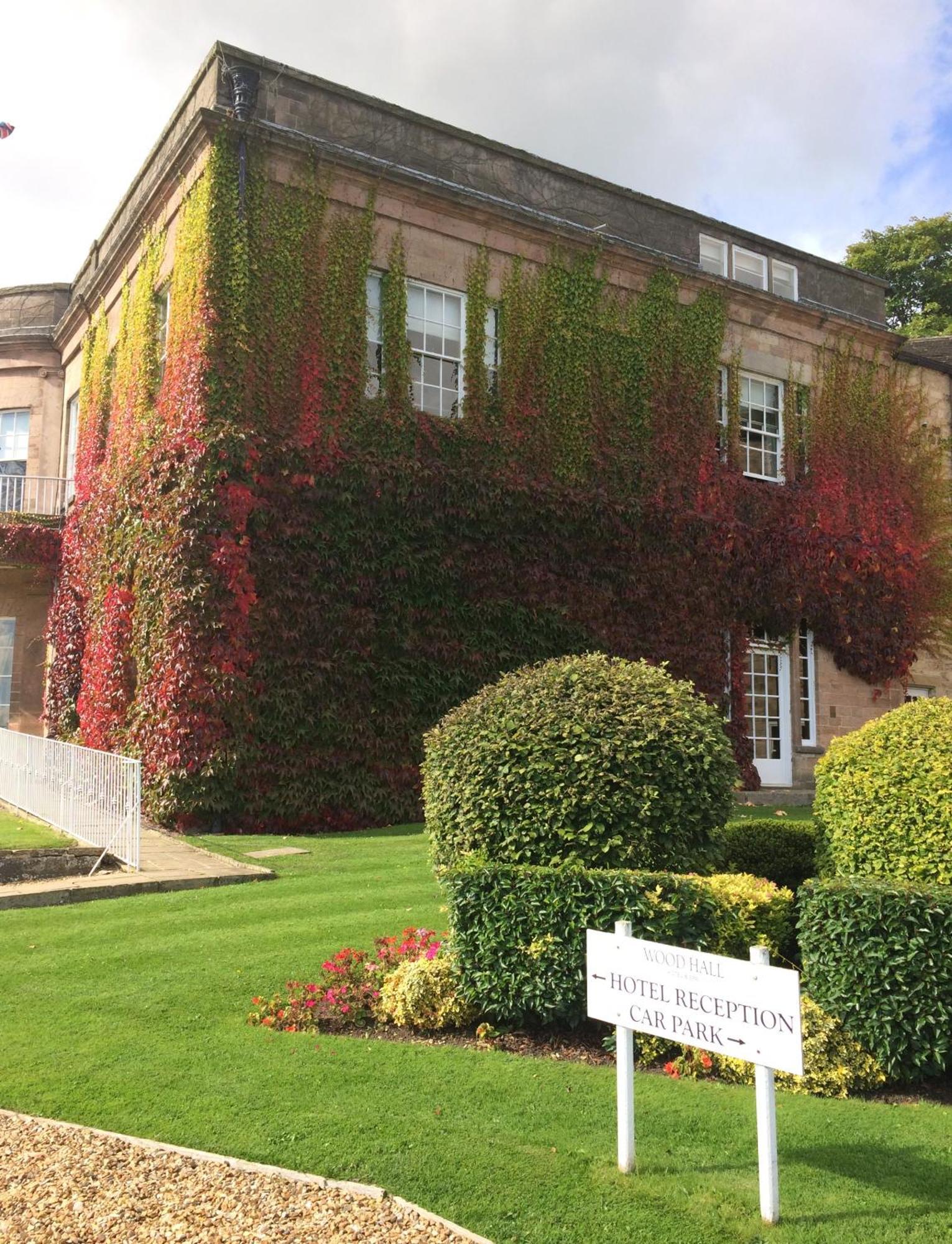 Hotel Wood Hall & 4*