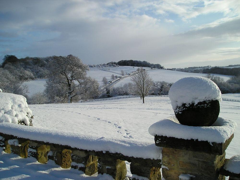 Wood Hall & Hotel 4*