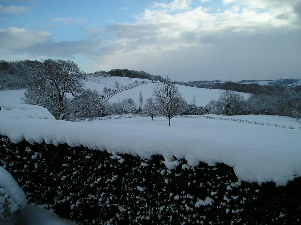 Wood Hall & 4*